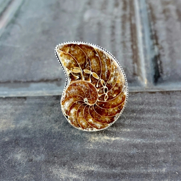 New Fossil Ammonite Silver Statement Ring. - Picture 11 of 16